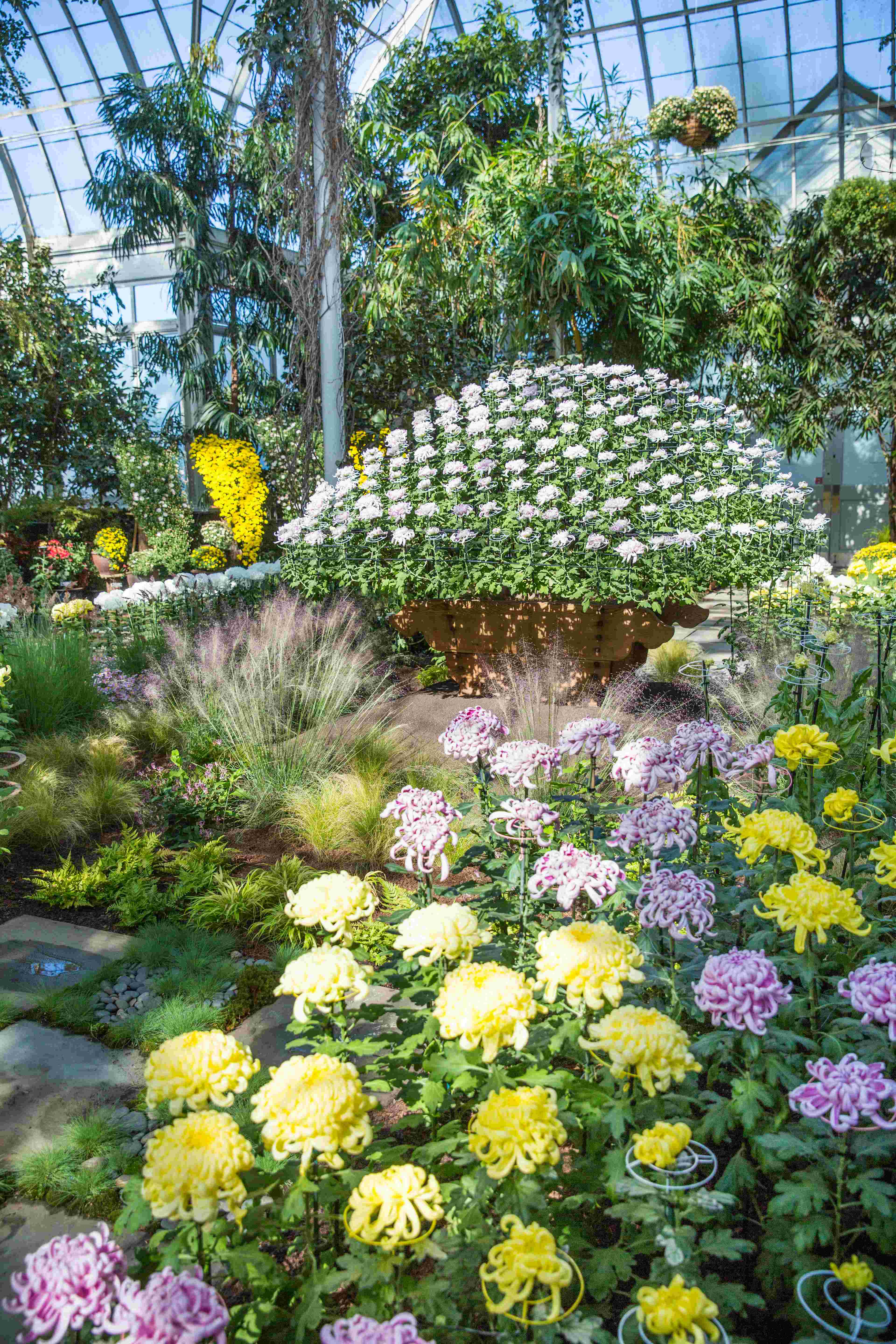 🌸 시마네 꽃의 마을(시마네 하나노사토) 이미지 12